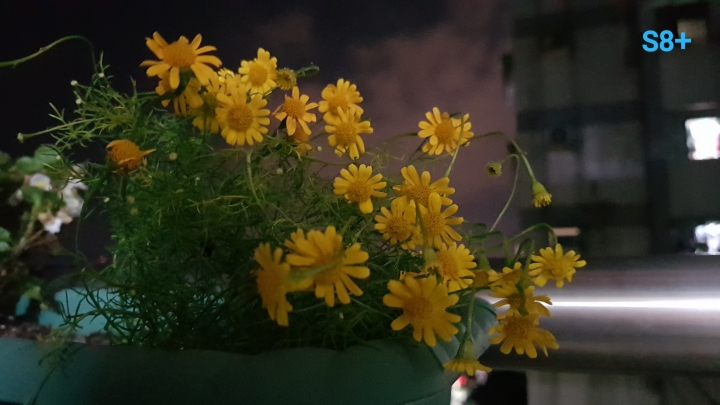 獵戶座S8+可用之Google Camera