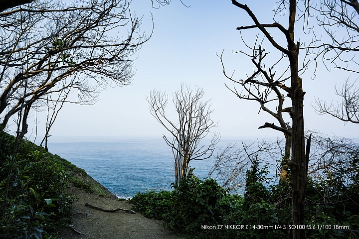 Nikon Z 14-30mm f/4 S 深度評測（圖多）
