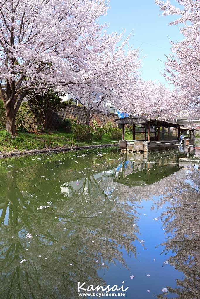 [6D | 遊記] 關西親子賞櫻行程 | 櫻花、夜景、動物園，闔家歡樂一次滿足
