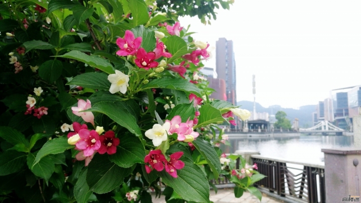 中國大陆出差回來