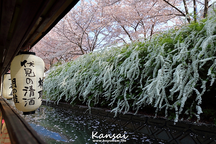 [6D | 遊記] 關西親子賞櫻行程 | 櫻花、夜景、動物園，闔家歡樂一次滿足