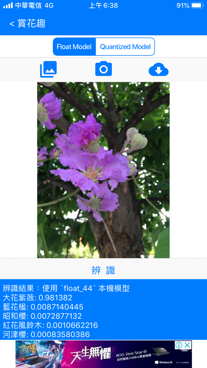 [機器學習][自製]一起賞花趣！提供即時花況及超過1000個景點！還有「拍花認樹」！