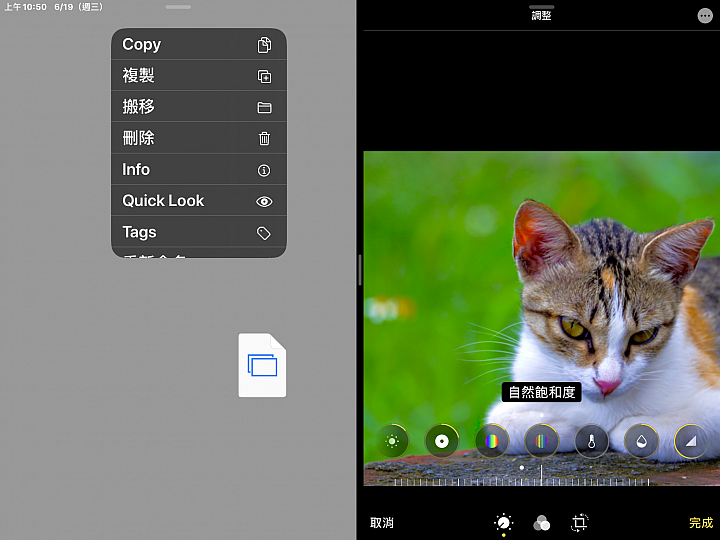 【分享】iPad mini iOS 13 Beta 2 升級 測試玩玩