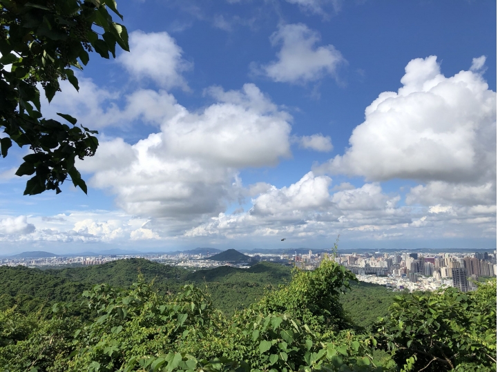 親近高雄大自然,南北壽山縱走(南北柴山)散步行,路線分享!