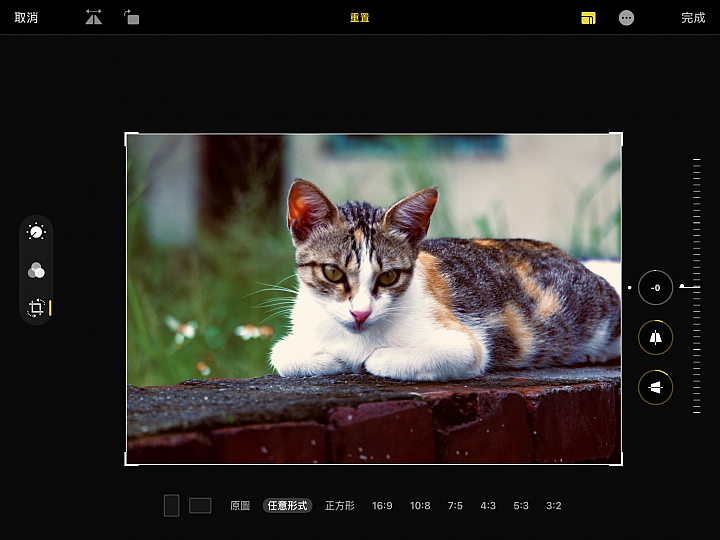 【分享】iPad mini iOS 13 Beta 2 升級 測試玩玩