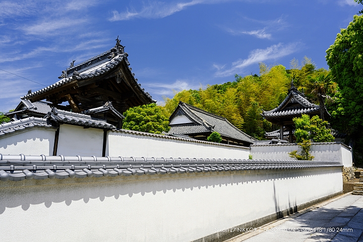 Nikon Z 14-30mm f/4 S 深度評測（圖多）