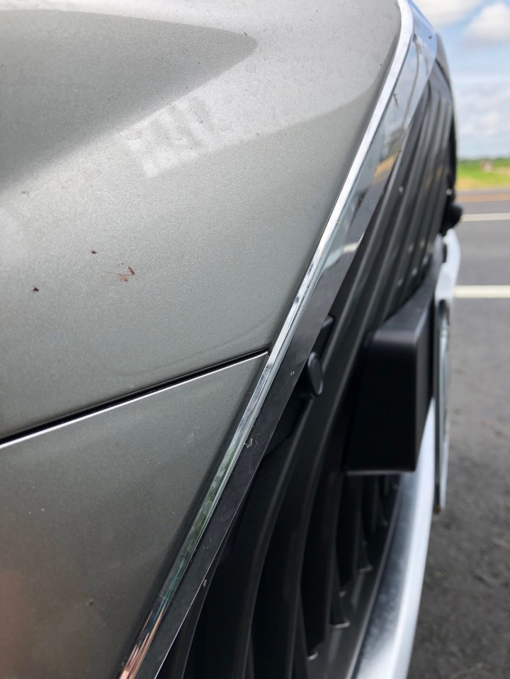 Lexus ES250開箱文（文長慎入）