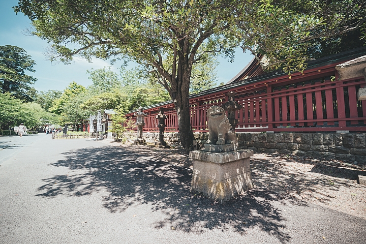 [A7RIII] 2019日本東北行