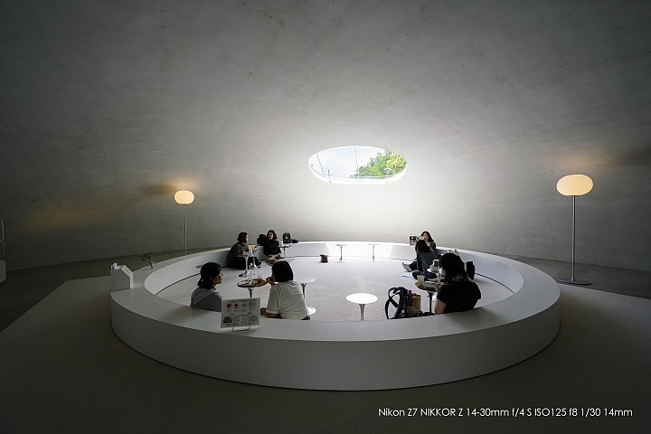 Nikon Z 14-30mm f/4 S 深度評測（圖多）
