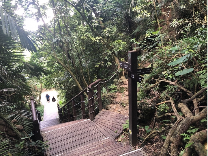 親近高雄大自然,南北壽山縱走(南北柴山)散步行,路線分享!