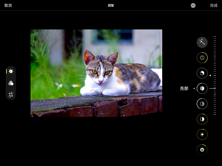 【分享】iPad mini iOS 13 Beta 2 升級 測試玩玩