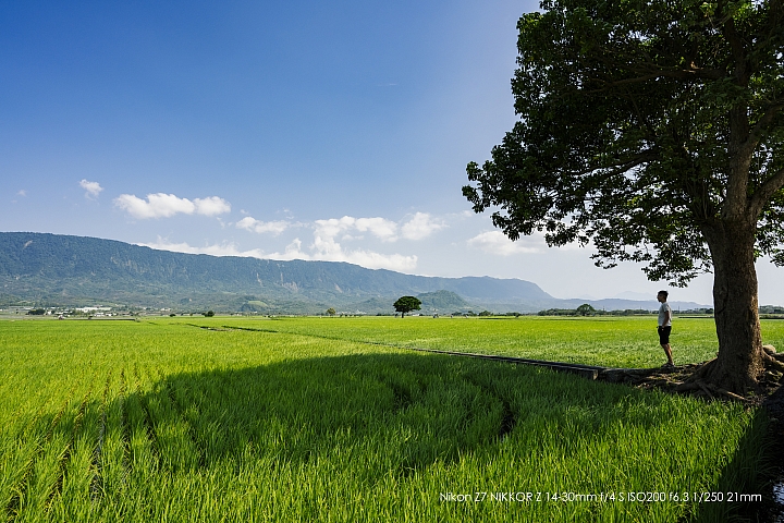 Nikon Z 14-30mm f/4 S 深度評測（圖多）