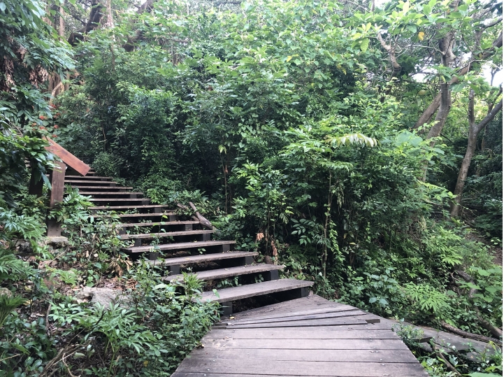 親近高雄大自然,南北壽山縱走(南北柴山)散步行,路線分享!
