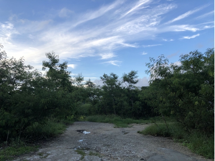 親近高雄大自然,南北壽山縱走(南北柴山)散步行,路線分享!