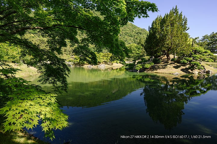 Nikon Z 14-30mm f/4 S 深度評測（圖多）