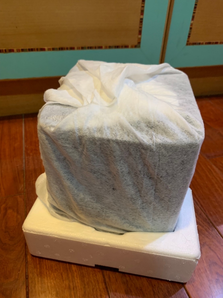 PSB SubSeries 100 被遺忘的小鋼砲