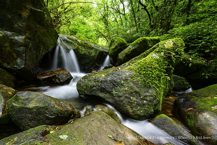 Nikon Z 14-30mm f/4 S 深度評測（圖多）