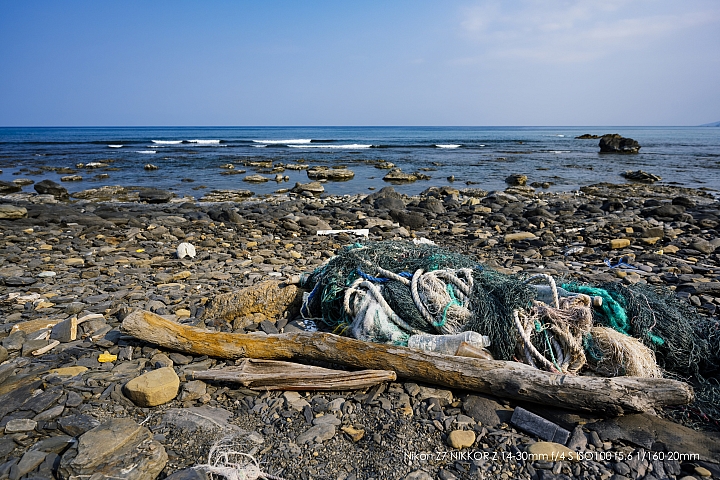 Nikon Z 14-30mm f/4 S 深度評測（圖多）