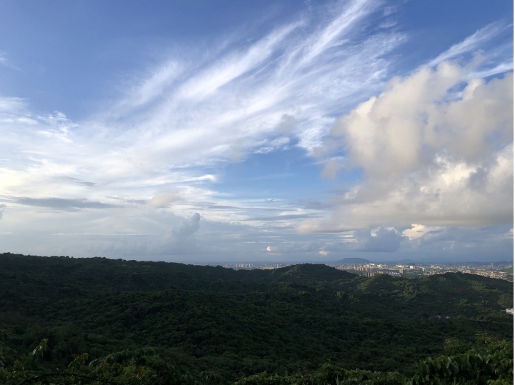 親近高雄大自然,南北壽山縱走(南北柴山)散步行,路線分享!