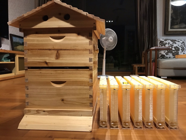 城市養蜂 自流蜜蜂箱 開箱