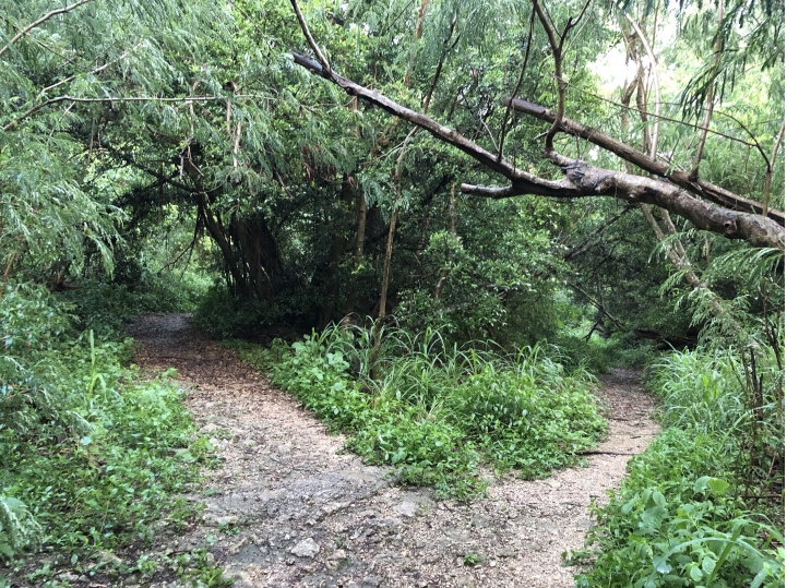 親近高雄大自然,南北壽山縱走(南北柴山)散步行,路線分享!