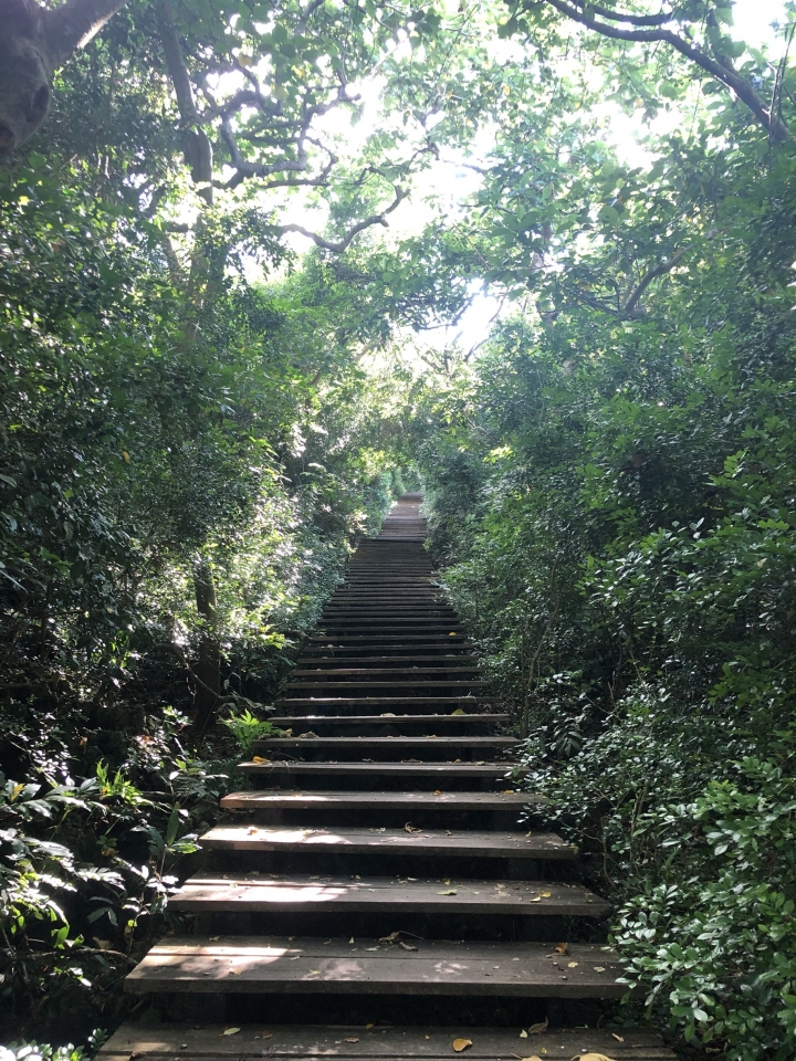 親近高雄大自然,南北壽山縱走(南北柴山)散步行,路線分享!