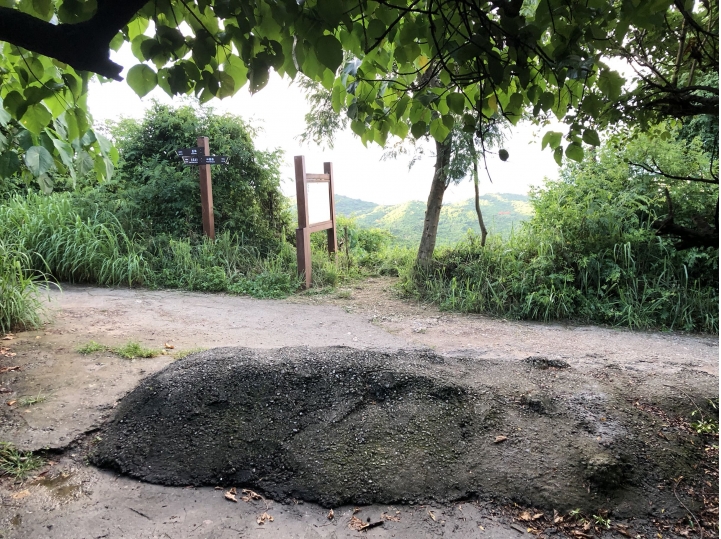 親近高雄大自然,南北壽山縱走(南北柴山)散步行,路線分享!