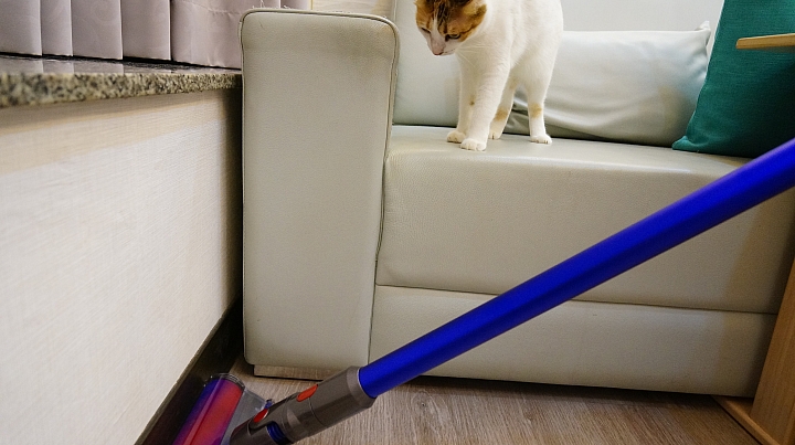 Dyson V11 Absolute 毛小孩家中一定要有的吸塵器