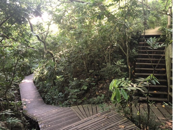 親近高雄大自然,南北壽山縱走(南北柴山)散步行,路線分享!
