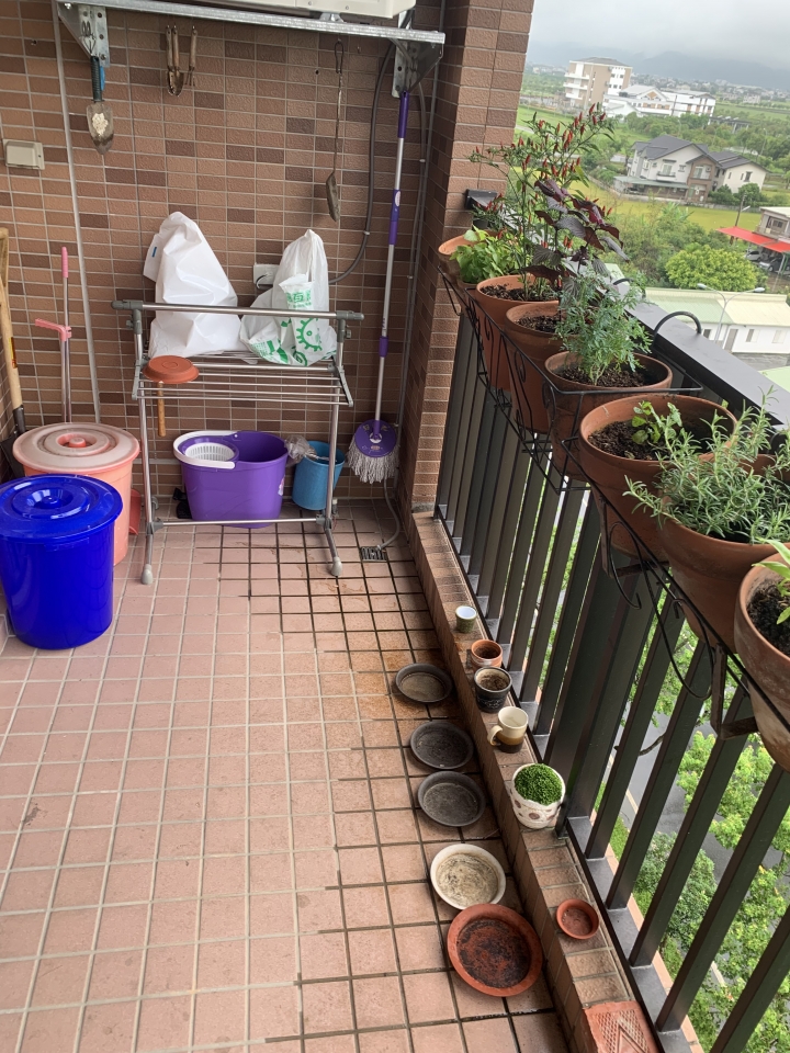 ［開箱］陽光、實木、好空氣。我的偽無印風