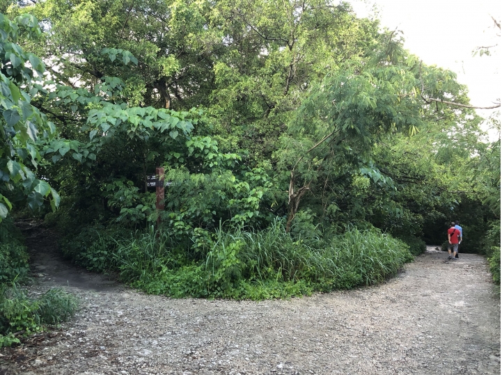 親近高雄大自然,南北壽山縱走(南北柴山)散步行,路線分享!