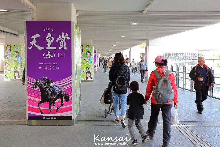 [6D | 遊記] 關西親子賞櫻行程 | 櫻花、夜景、動物園，闔家歡樂一次滿足