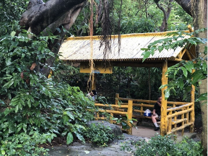 親近高雄大自然,南北壽山縱走(南北柴山)散步行,路線分享!