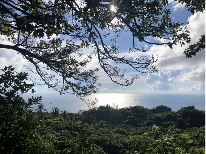 親近高雄大自然,南北壽山縱走(南北柴山)散步行,路線分享!