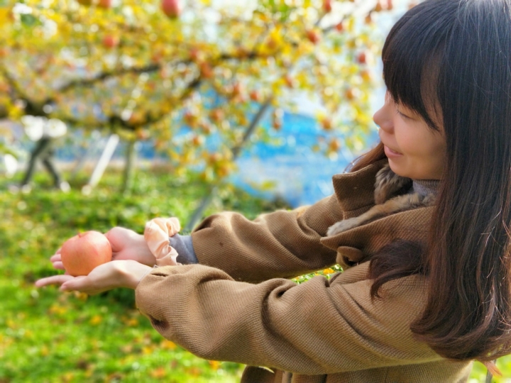 【日本島根單車行Day5】赤來高原觀光蘋果園 → 三瓶山 → 淨善寺銀杏樹 → 大注連繩創作館