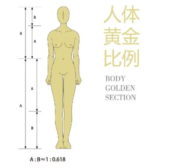 大陸高考數學難題-女神維納斯的身高?!(2019/06/10)