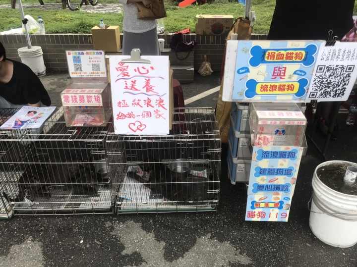 照生企業結合照生會貓狗119及各公益團體，舉辦6月份照生幣公益市集