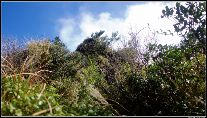 路線紀錄：【凱達格蘭山】-【七星山南峰】