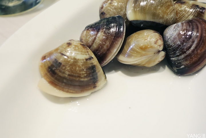 【新莊】覺醒幸福鍋物,新莊火鍋推薦,蛤蛤蛤肉肉鍋超狂,上百顆蛤蜊太誇張