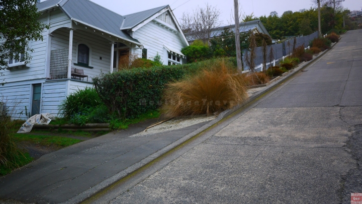 【紐西蘭●南島】但尼丁Dunedin八角廣場車站 世界最陡的街道Baldwin Street