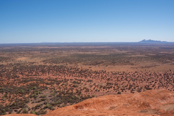 【澳洲北領地自由行】烏魯魯卡塔丘塔國家公園：爬上ULURU