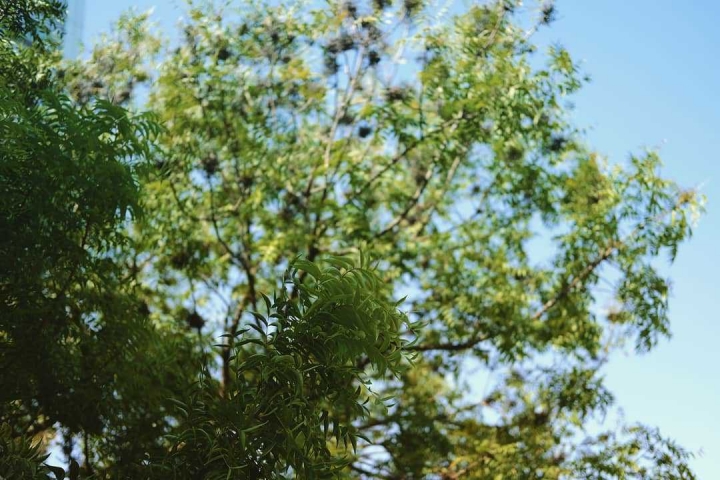 「Fujifilm X-pro2」重溫富士舊夢