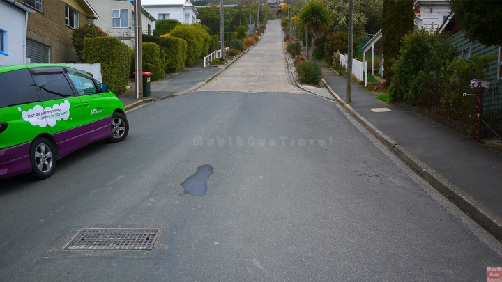 【紐西蘭●南島】但尼丁Dunedin八角廣場車站 世界最陡的街道Baldwin Street