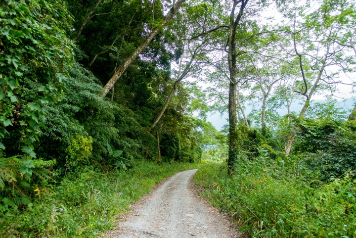 | Taiwan Taichung 台灣 台中 和平區 ☻ 失落的祕境 進擊的巨人之手 . 賽德克巴萊山蘇林 | 揭開巨人的神祕面紗