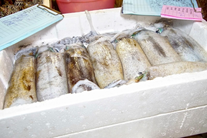 [台南][中西區] 梅鑫海產店｜食記