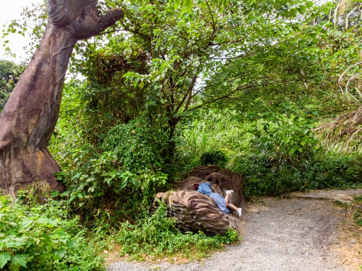 | Taiwan Taichung 台灣 台中 和平區 ☻ 失落的祕境 進擊的巨人之手 . 賽德克巴萊山蘇林 | 揭開巨人的神祕面紗