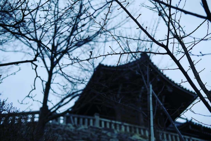 「Fujifilm X-pro2」重溫富士舊夢