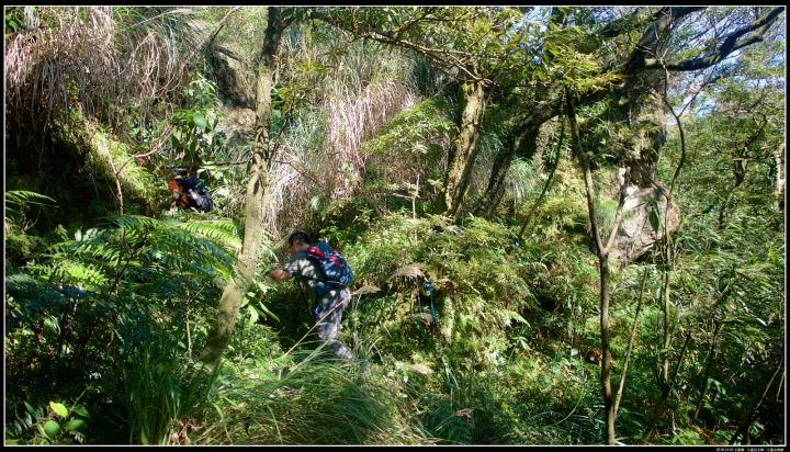 路線紀錄：【凱達格蘭山】-【七星山南峰】
