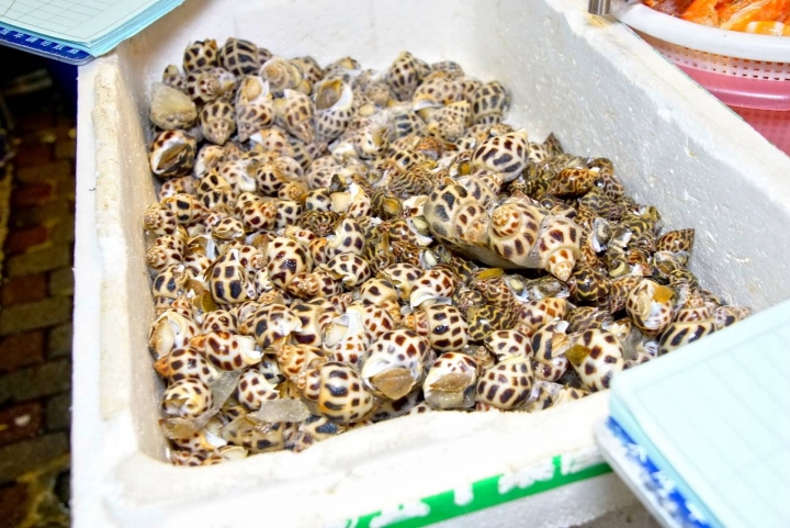 [台南][中西區] 梅鑫海產店｜食記