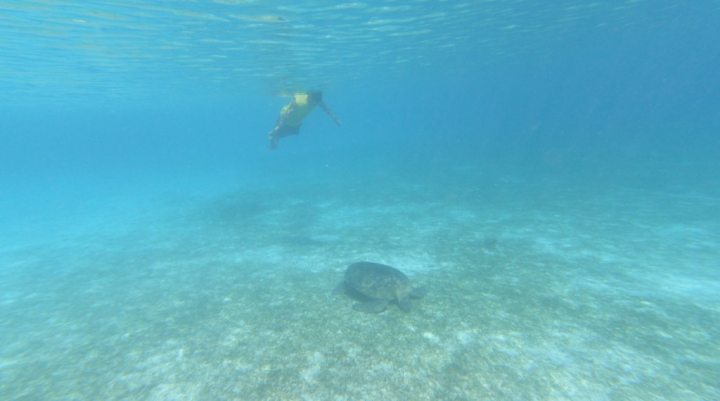【菲律賓跳島自由行】bye bye長灘島 我們要去Romblon：塔布拉斯＋朗布隆行程景點